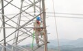 电线也有恐风症 江西给超高压电线“吃定风丹”