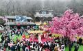 别问了！清明小长假，栾川人山人海的秘密全在这里