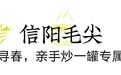 杯盏里的河南，藏不住了！