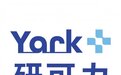 以新西兰银蕨认证为基，Yark研可力筑牢乳清蛋白品质根基