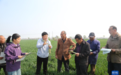 河北：春耕春管关键期 全链条要素保障粮食丰收