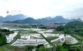 江西分宜：机插早稻秧苗 “绿”动田野（图）