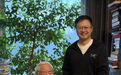 余世存|评刘梦溪《观乎人文》：沉潜味道以观化