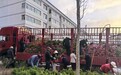甘肃华亭社区走访听民声　小区增绿添彩“颜值”回来了