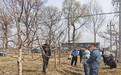 春“耕”添新绿　甘肃崆峒以科技之笔绘果业振兴图景