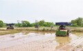 赣州：沃野春耕正当时（图）