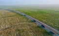 戈壁荒滩如何破沙成金？甘肃金塔这样打样