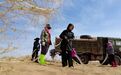 【甘快看】甘肃民勤：春赴沙乡　同心植绿