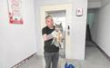 “大猫头鹰”雕鸮被困楼间夹缝 多方联手将其救出