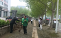 柘城县：立体花墙“爬”上墙 工业围墙变身生态风景线