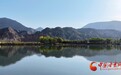岸绿花红蜂蝶舞　甘肃永靖踏青正当时