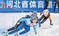 河北省第十七届运动会青少年组冬季项目完赛