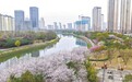 瑞昌市：水清岸绿 繁花似锦（图）