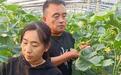 在路上：泥土地里绽芳华 残翼逐梦写担当——80后残疾夫妻深耕乡土的新农人创业路