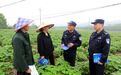 苎麻地里化矛盾、村头巷口讲反诈，分宜“田埂警务”护航“致富草”