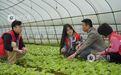吉安：高校大学生助力乡村振兴（图）