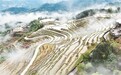 遂川县：春漾梯田（图）