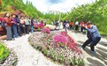 映山红遍 乐游井冈！第十七届井冈山杜鹃花节开幕