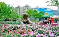 武汉都市圈花展4月29日启幕 12城联动邀你五一共赴繁花之约