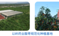 以岭药业2025ESG责任答卷：药谷兴农筑根基，绿富同行践初心