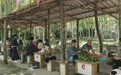 浮梁金竹花果山：五一乡村游“火”出圈，百名游客乐享田园