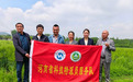 科技“春雨”润山乡 河南省科技特派员走进确山为黑猪产业“开方”