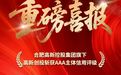 跻身最高等级！合肥高新控股旗下创投公司获评AAA主体信用评级