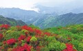 吉安：“红”景如画（图）