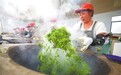 庐山市：手工制茶忙（图）