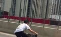 湖北兽医在高架桥车流中救下被撞流浪猫 当事人：已给小猫做了手术