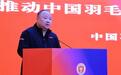 中国羽毛球协会主席张军被查