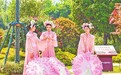 南阳市卧龙区：中国月季园吸引全国各地游客前往打卡留念