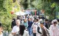 徐州这3.5公里，火出圈了！
