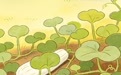 【甘快看】手绘长图：一颗庆阳白瓜子　满口高原清脆香