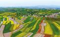 梯田织锦绣　沃野展新颜