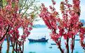 威海有个“百花园”