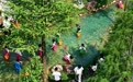 湖南湘阴：洋沙湖·溪龙里开园 亲子微度假引领五一新潮流