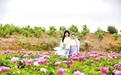 九江：乡村旅游促振兴（图）