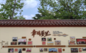 青岛市人大代表陈锡佐：用“小鸡蛋”串起乡村振兴大链条
