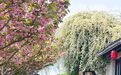 花海、花火、花活！这个“五一”无锡“花”式宠客！