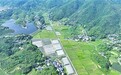 江西萍乡：辣椒大棚连成片，村民增收笑开颜（图）