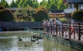 风从运河来，赴一场双龙湖的湿地之约