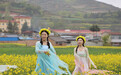 高山油菜花海盛装迎客