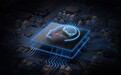 英伟达中国份额降至0！国产芯片、存储集体暴涨：海光、寒武纪等创历史新高