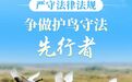 黑龙江省第45届爱鸟周｜守护飞羽精灵 共绘生态画卷
