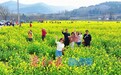 在济南“村游”，找寻近在咫尺的“诗和远方”