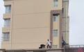 小男孩蹊跷困身10米高外墙凹槽　他们合力施救