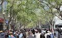 752.9万人次游客奔赴，“五一”假日冰城文旅热度满满