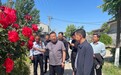 商丘市梁园区李庄镇：花开满径香盈村 和美乡村入画来