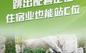 特色住宿变身文旅目的地，“乐宿山东”更加具象化